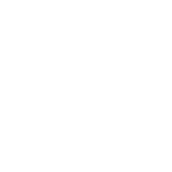 chl-n65-bone