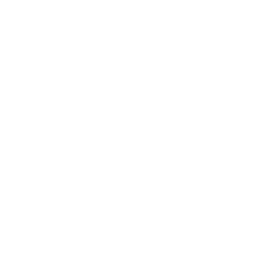 chl-no3-stress